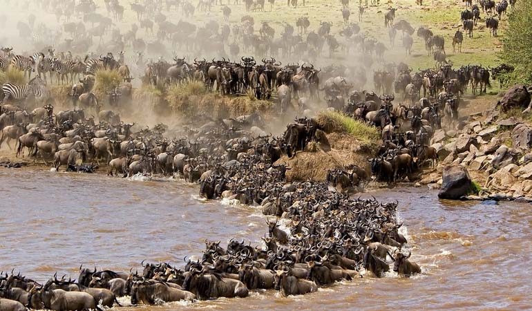 Maasai Boma Day Tour